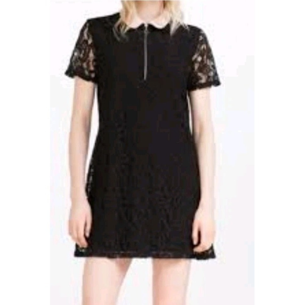 Zara‎ Black Lace Blush Pink Collar Front Zip Mini Dress Size XS